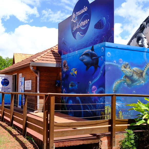 Sea Museum