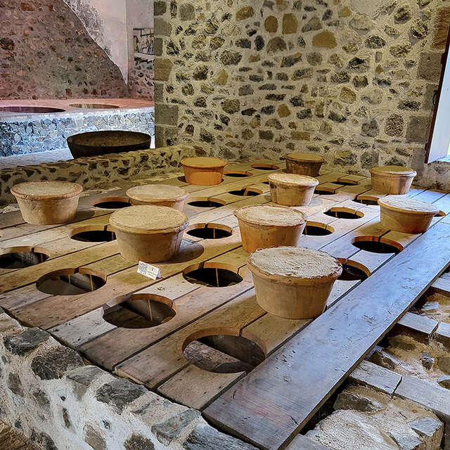 Habitation La Salle - Sugar