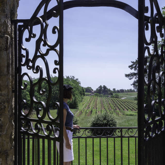 Visite de la vigne au Chai