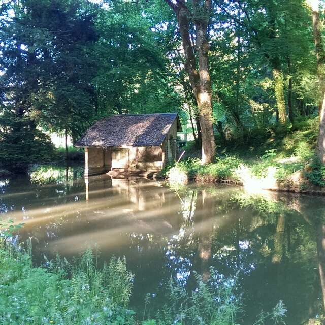 Entre Village et forêt de Chambon-sur-Cisse