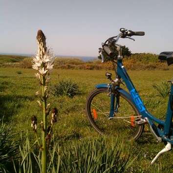 Balad'à vélo gratuite sur les Espaces Naturels Sensibles (ENS)