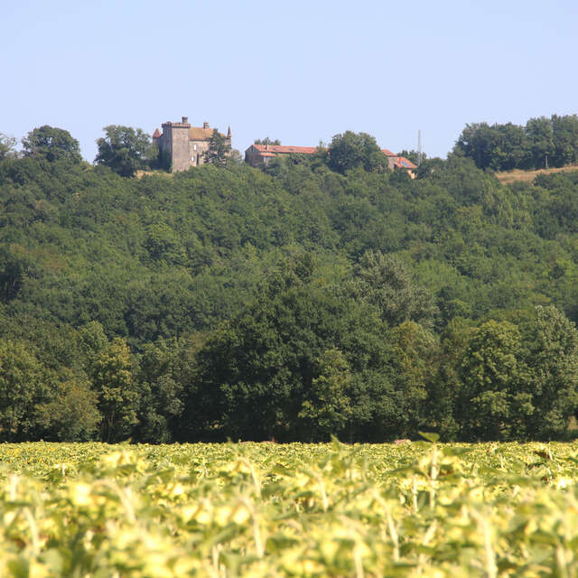 Le Larribet