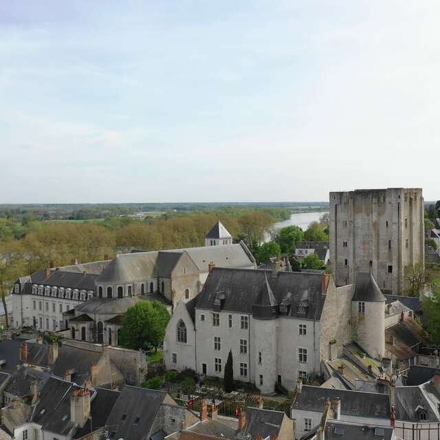 Château de Beaugency