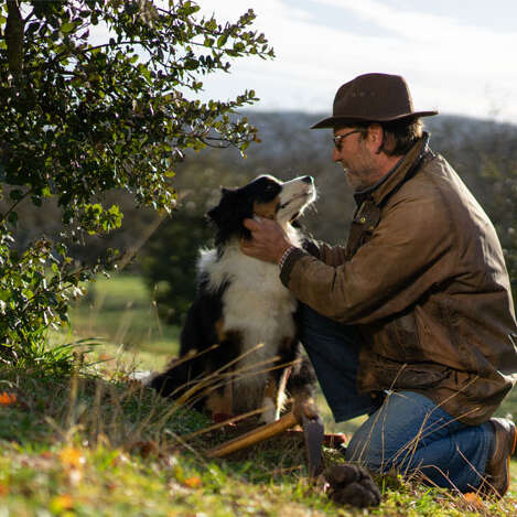 La truffière de Vielcroze