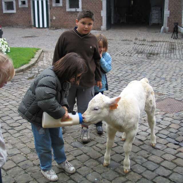 Ferme pédagogique de la Croix de Mer 🖍