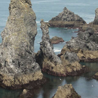 Sortie nature : Homme et Nature aux Aiguilles de Port Coton