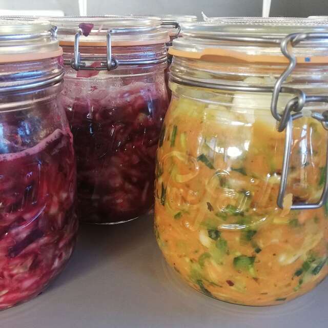 Atelier lacto-fermentation