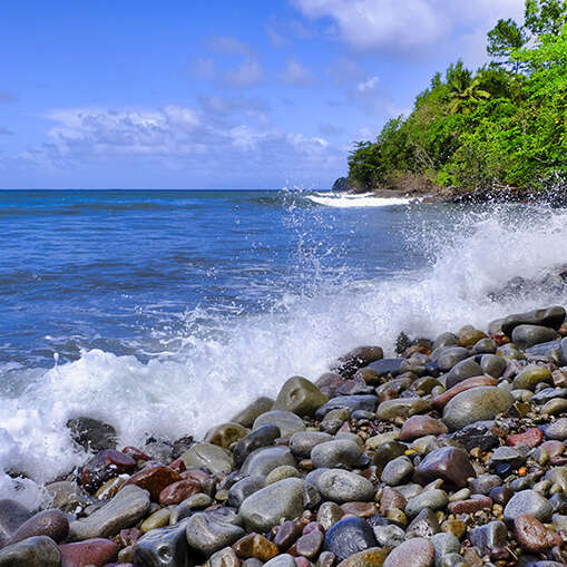 Plage de l'Anse Tamarinier