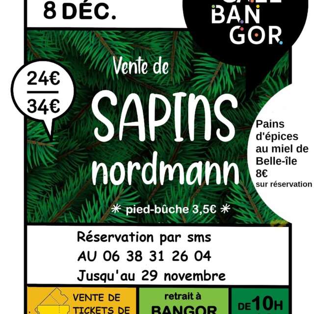 Vente de sapins Nordman