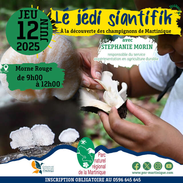 Lé Jédi siantifik - Les Champignons (PNRM)