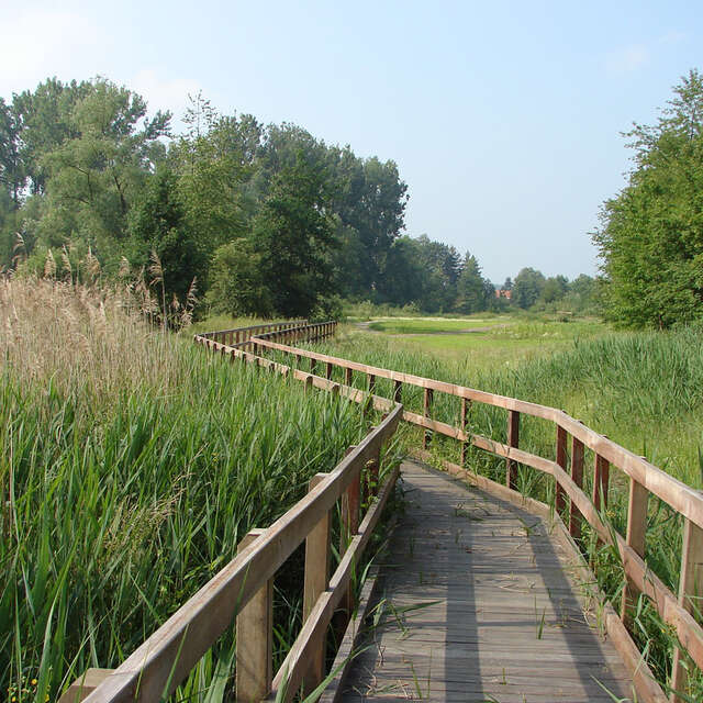 Promenade du Wachnet