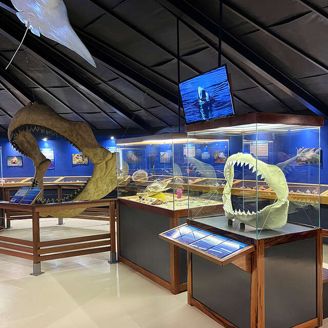 Musée de la Mer