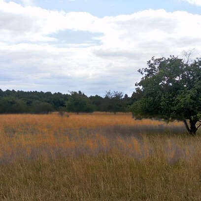 Sentier de balade de la Réserve naturelle de Marolles