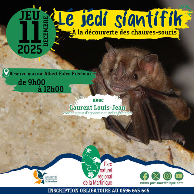 Lé Jédi siantifik - Chauves-Souris & Réserve Albert Falco (PNRM)