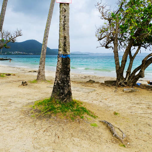 Plage de Gros-Raisin