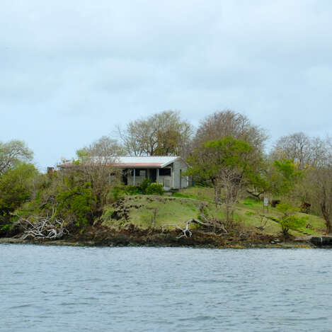 Îlet Petit Vincent