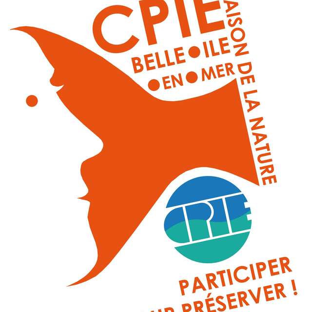 Sortie-conférence : Porh Huelen, riche mémoire de la géologie de Belle-Ile