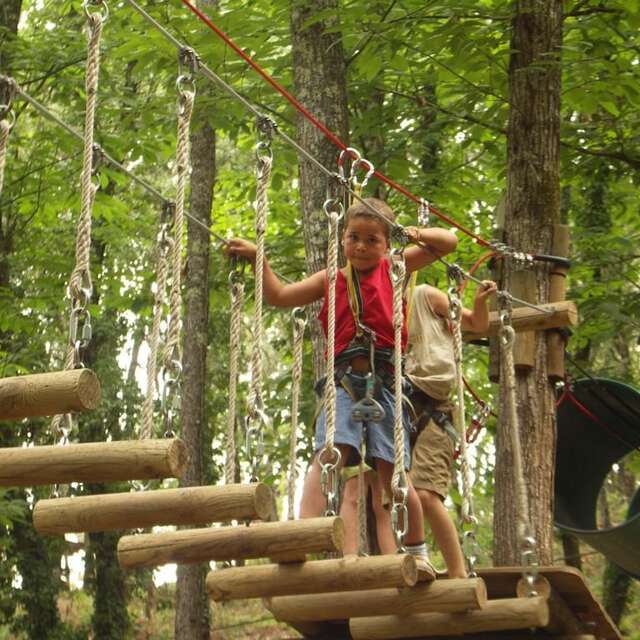Accroche toi aux branches petit écureuil !