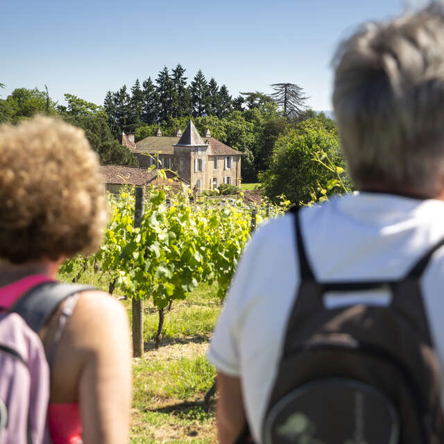 Patrimoine et vignoble madiranais