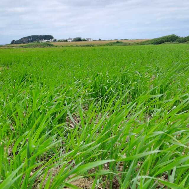 Visite de la Ferme de Maria & Joachim à Logonet