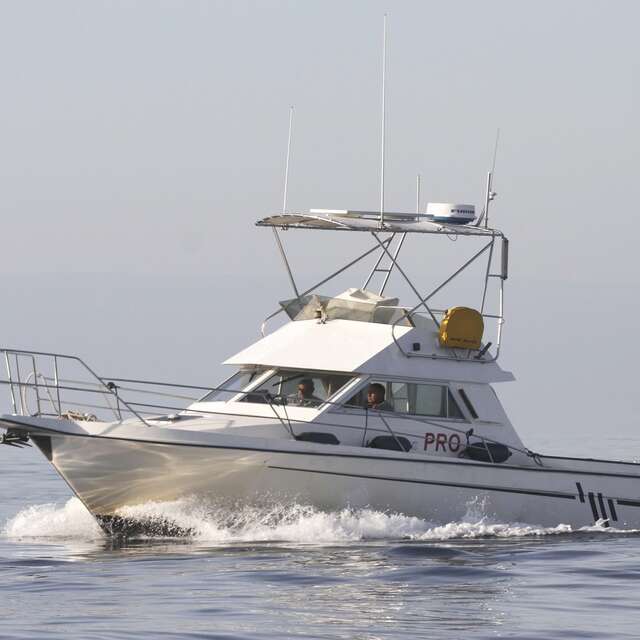 Sorties en mer : Atmos'Air Marine