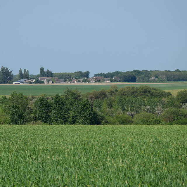 Randonnée équestre en petite Beauce