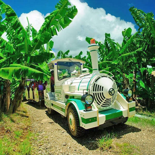 Habitation Belfort (Visite en train)