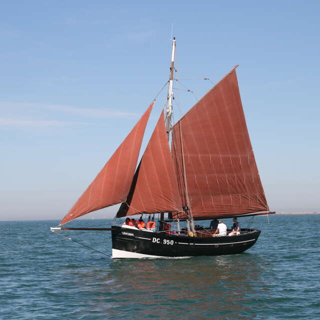 Sorties en mer sur un vieux gréement