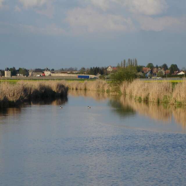 Les bords de Loire de Saint-Claude de Diray