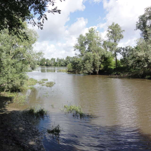 Rando : de l'Aumône de Candé-sur-Beuvron