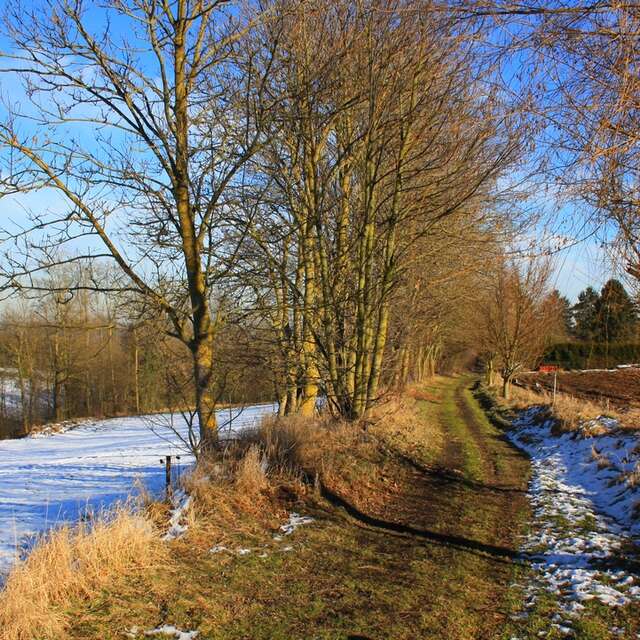 Promenade de Sur-les-Bois