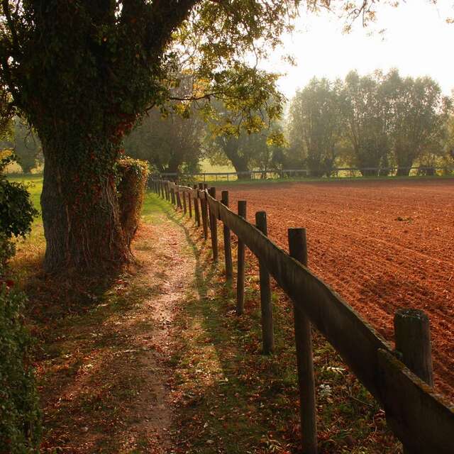Promenade de la Dicque