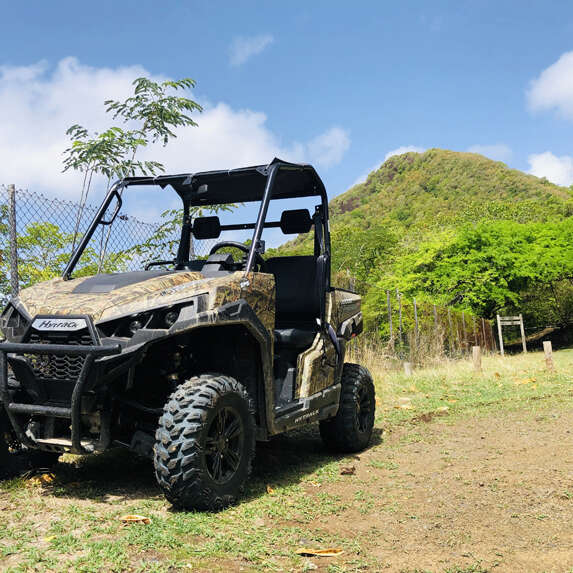 Martinique Buggy (Sud)