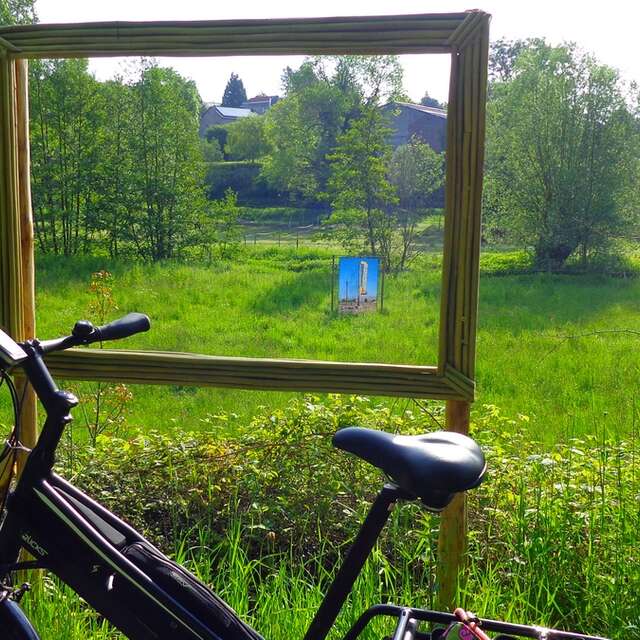 A la découverte du saule !