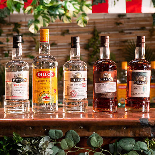 Rhums Dillon AOC - Distillerie