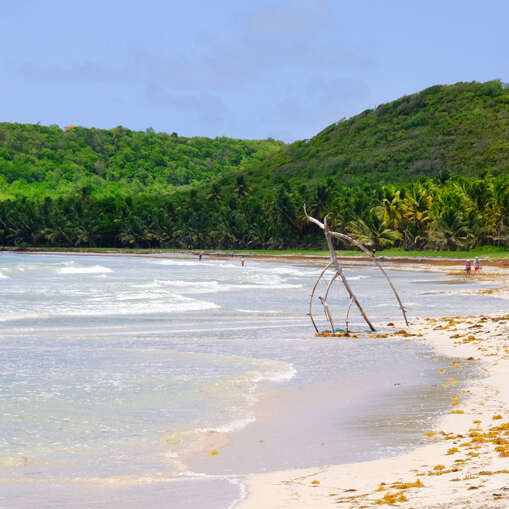 Plage de Grand Macabou