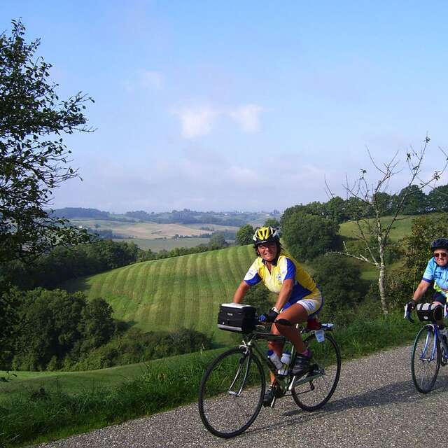 LE CIRCUIT DES VIGNOBLES - N°14