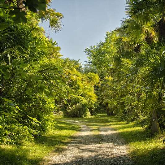 RENDEZ-VOUS AUX JARDINS - PALMERAIE DU SARTHOU A BÉTOUS