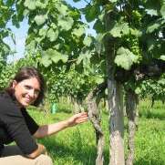 DOMAINE LABRANCHE LAFFONT