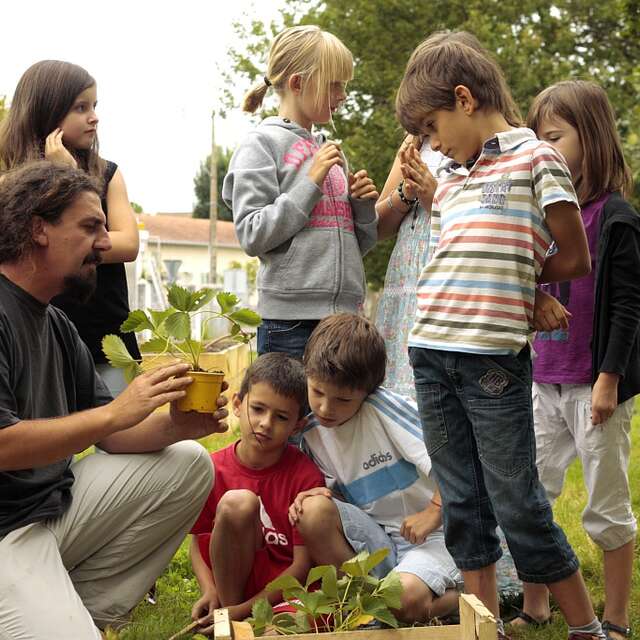 JARDIN ARTPICULTURE