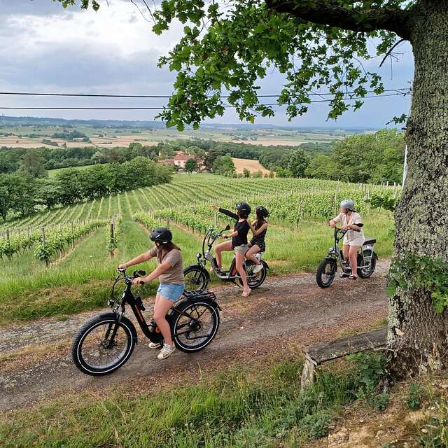 TANNAT EN VAE AU DOMAINE DU MOULIÉ
