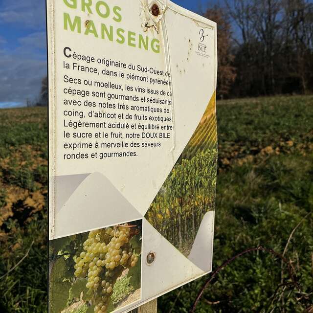 BALADE OENO-LUDIQUE AU DOMAINE DE BILÉ
