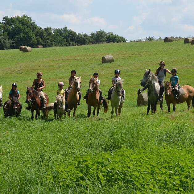 PONEY CLUB DES 3 COLLINES