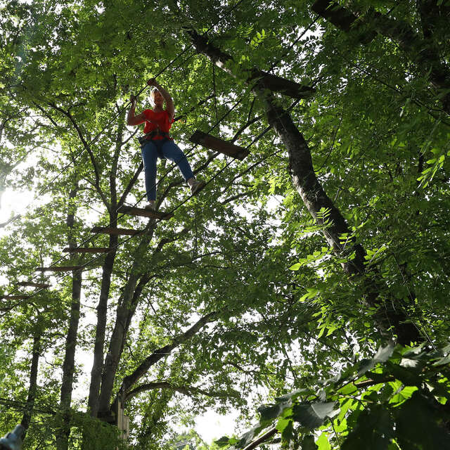 Eté actif 2026 : Grimpe d'arbre