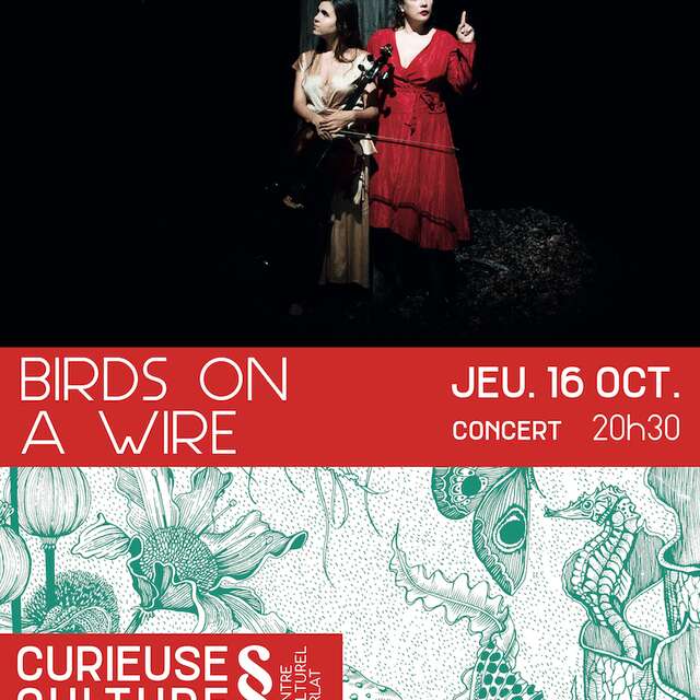 Birds on a Wire
