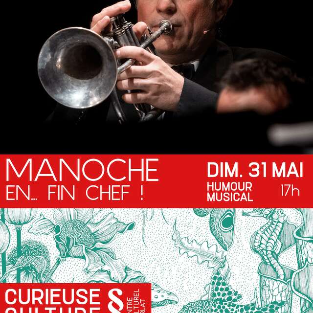 MANOCHE EN...FIN CHEF !