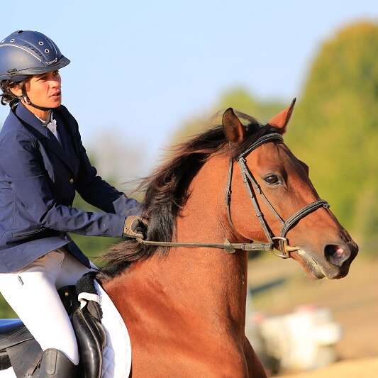 Ferme Équestre Les Eymaries