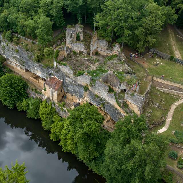Châteaux en fête - Balade à la découverte des plantes sauvages