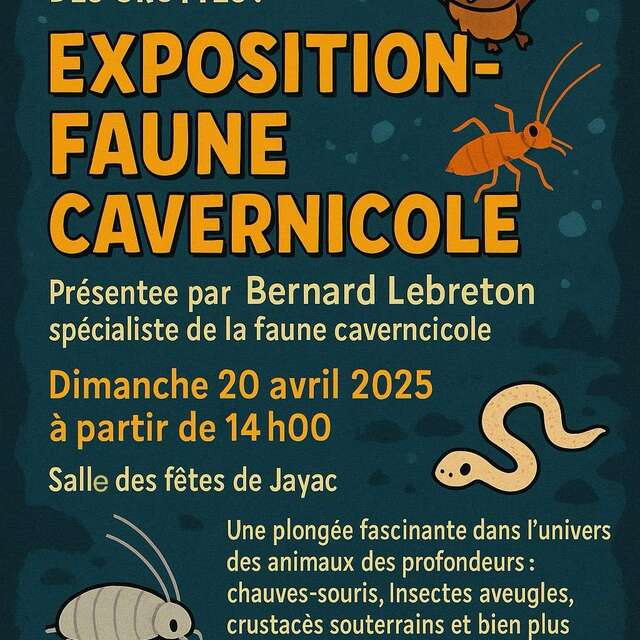 Exposition faune cavernicole à Jayac
