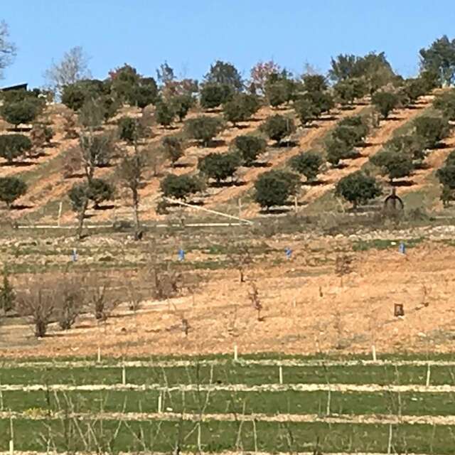 La Ferme de la Truffe